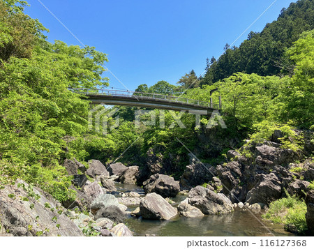 Sanbashi Gorge and the fresh greenery of Soseki Bridge 116127368