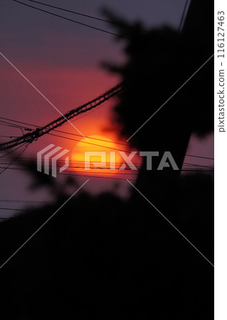 日落 116127463