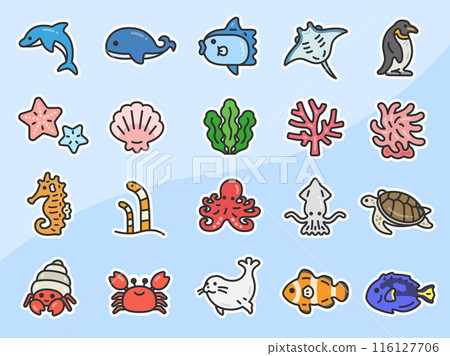 海洋生物圖示插圖集(畫線顏色)(附背景) 海洋生物圖示插圖集(畫線顏色)(附背景) 116127706