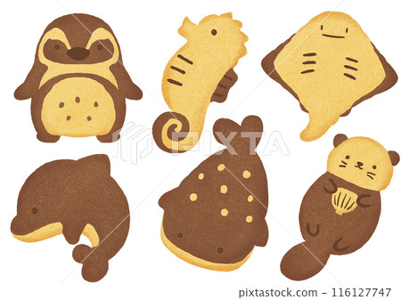 Sea creature cookies illustration Sea creature cookies illustration 116127747