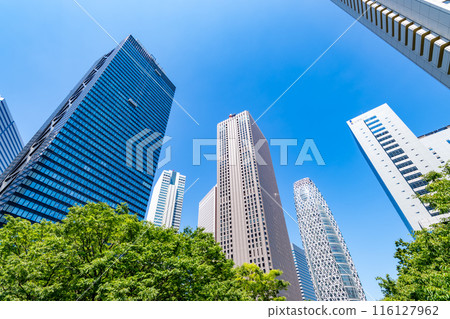 新宿副中心 初夏的綠色摩天大樓風景 2024.06 a-1 116127962