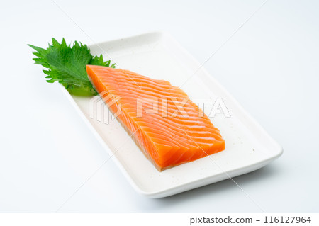 Salmon fence 116127964