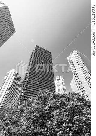 Shinjuku Subcenter: Lush green skyscraper streetscape in early summer 2024.06 d-5 Monochrome Shinjuku Subcenter: Lush green skyscraper streetscape in early summer 2024.06 d-5 Monochrome 116128039