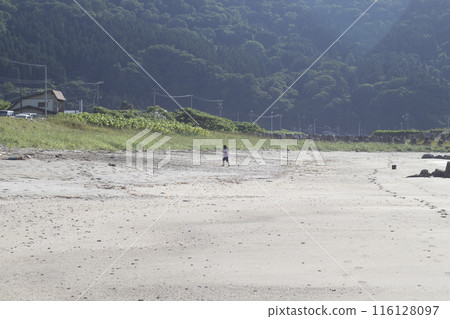 Children running on the beach 116128097