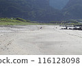 Child sitting on sandy beach 116128098
