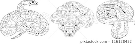 Zentangle snakes for coloring pages. Hand drawn decorative vector illustration. 116128452