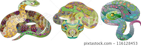Zentangle snakes. Hand drawn decorative vector illustration. Zentangle snakes. Hand drawn decorative vector illustration. 116128453