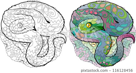Zentangle snake for coloring on mandala . Hand drawn decorative vector illustration. Color and outline set 116128456