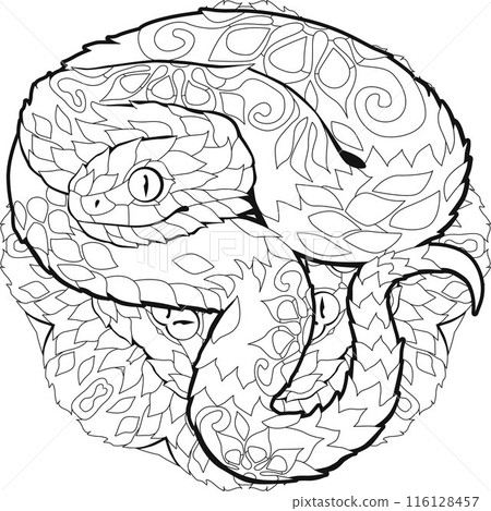 Zentangle snake for coloring on mandala . Hand drawn decorative vector illustration. 116128457