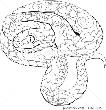 Zentangle snake. Hand drawn decorative vector illustration for coloring book. 116128459