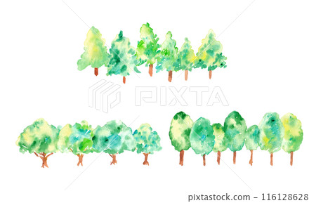 Watercolor painting. Vector forest material with watercolor touch. Hand-drawn nature illustration. Green plant background. Forest and trees. 116128628