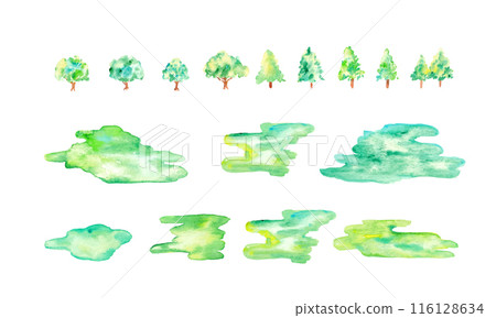 Watercolor painting. Vector forest material with watercolor touch. Hand-drawn nature illustration. Green plant background. Forest and trees. 116128634