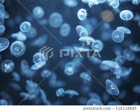 水母寶寶（很多） 的標籤 116128685