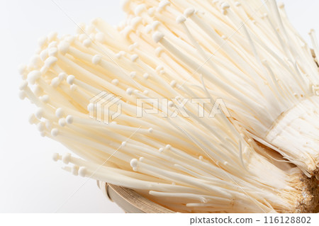 Close-up of Enoki mushroom 116128802