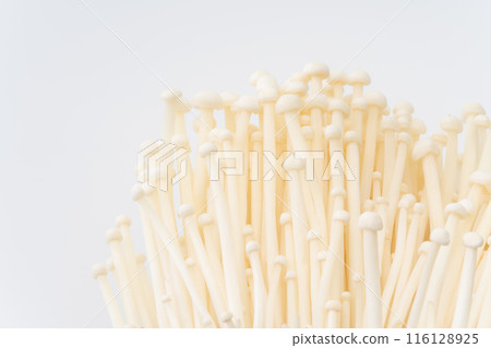 Close-up of Enoki mushroom 116128925