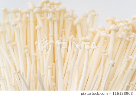 金針菇特寫背景 金針菇特寫背景 116128968