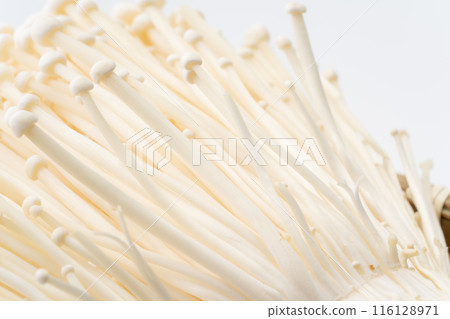 金針菇特寫背景 金針菇特寫背景 116128971