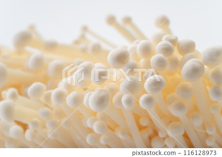 金針菇特寫背景 金針菇特寫背景 116128973