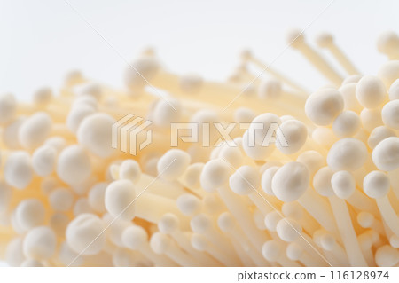 Enoki mushroom close-up background 116128974