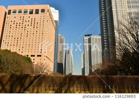 Shinjuku Central Park: Shiraito Falls and the skyscrapers Shinjuku Central Park: Shiraito Falls and the skyscrapers 116129003
