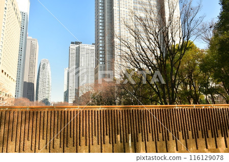 Shinjuku Central Park: Shiraito Falls and the skyscrapers 116129078