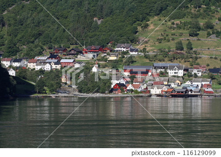 Houses in a canyon along a Norwegian fjord 116129099