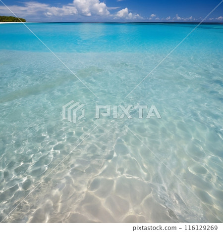 The clear, shallow sea 116129269
