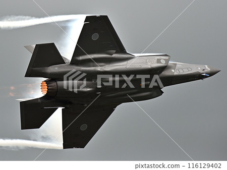 日本航空自衛隊三菱 F-35A 閃電 II 116129402