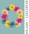 多彩的紅色、藍色、黃色、粉紅色花圖花環 116129538