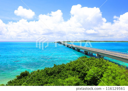 沖繩縣宮古島牧山展望台伊良部大橋 沖繩縣宮古島牧山展望台伊良部大橋 116129561
