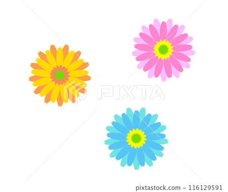 Colorful gerbera illustration set 116129591