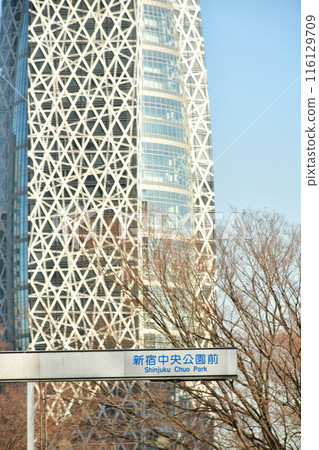 新宿中央公園 新宿中央公園 116129709