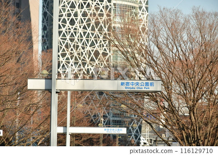 新宿中央公園 新宿中央公園 116129710