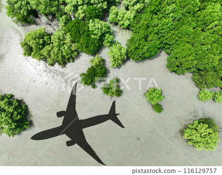 Shadow airplane flying above mangrove forest. Sustainable fuel. Biofuel in aviation. Sustainable transportation and eco-friendly flight with biofuel use. Aviation sustainability. Mangroves capture CO2 Shadow airplane flying above mangrove forest. Sustainable fuel. Biofuel in aviation. Sustainable transportation and eco-friendly flight with biofuel use. Aviation sustainability. Mangroves capture CO2 116129757