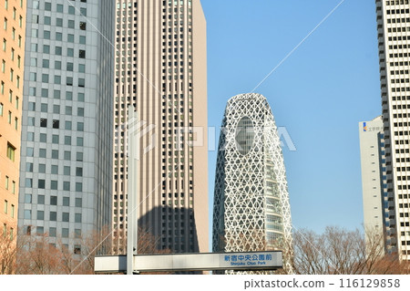 Scenery of office district with high rise buildings Scenery of office district with high rise buildings 116129858