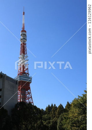 Scenery of Higashi-Azabu, Minato-ku, Tokyo with a view of Tokyo Tower Scenery of Higashi-Azabu, Minato-ku, Tokyo with a view of Tokyo Tower 116129962