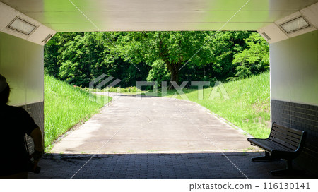 穿過隧道前往山形縣東澤玫瑰公園舊玫瑰園 穿過隧道前往山形縣東澤玫瑰公園舊玫瑰園 116130141