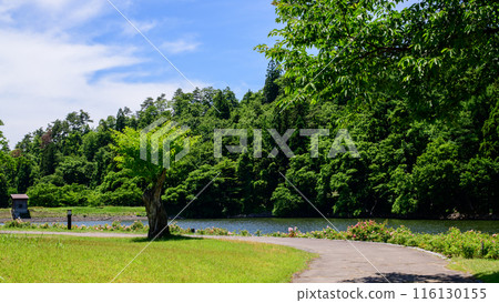 Higashizawa Rose Park, pond and walking path, Yamagata Prefecture 116130155