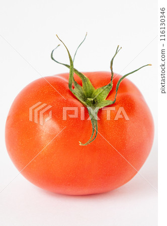 番茄成分白色背景 116130346