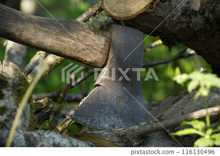 Close-up of a rustic axe embedded in a tree stump in a sunny garden Close-up of a rustic axe embedded in a tree stump in a sunny garden 116130496