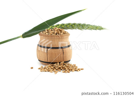 Wooden barrel filled with wheat grains near wheat ears isolated on white background 116130504