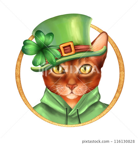 Cute ginger cat wearing st patrick's hat. Illustration for Saint Patrick's Day Cute ginger cat wearing st patrick's hat. Illustration for Saint Patrick's Day 116130828
