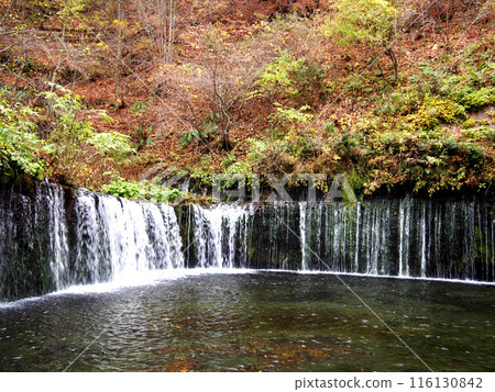 輕井澤白瀑瀑布 輕井澤白瀑瀑布 116130842