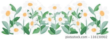 white flowers row 116130902