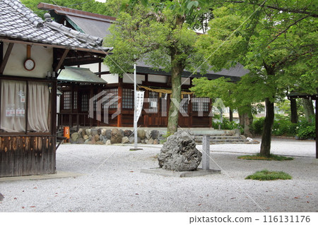 Aichi Ichinomiya Misato Shrine Hydrangea Garden Walk 54 116131176