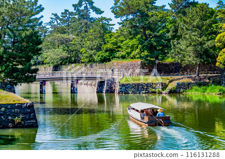 島根松江城 堀川遊船 116131288