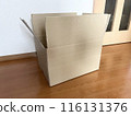 Cardboard image 116131376