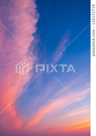 Evening sky 116131719