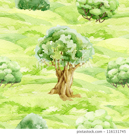 Lawn with tree and bush seamless pattern. Watercolor illustration. Hand drawn countryside nature landscape element. Green grass lush meadow with trees seamless pattern Lawn with tree and bush seamless pattern. Watercolor illustration. Hand drawn countryside nature landscape element. Green grass lush meadow with trees seamless pattern 116131745