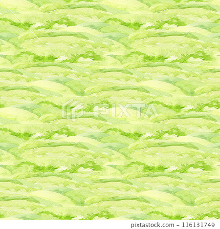 Green grass field seamless pattern. Watercolor illustration. Hand drawn green lush meadow. Landscape element seamless pattern Green grass field seamless pattern. Watercolor illustration. Hand drawn green lush meadow. Landscape element seamless pattern 116131749